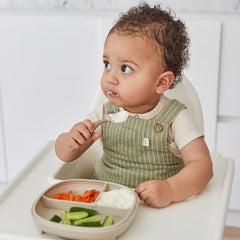 B.box 2-In-1 Suction Plate