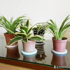 Kyubey Instadry Round Coaster 10cm | The Nest Attachment Parenting Hub