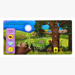 Campbell First Explorers Series: Night Animals