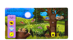 Campbell First Explorers Series: Night Animals