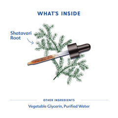 Motherlove Shatavari Liquid Tincture 2oz