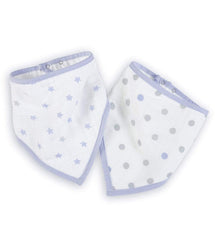 Aden + Anais Bandana Bibs 2's | The Nest Attachment Parenting Hub