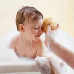 Babu by Bellini Sea Sponge Honeycomb | The Nest Attachment Parenting Hub