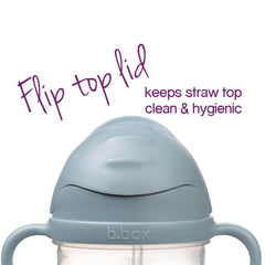 B.box PPSU Sippy Straw Cup With Handle