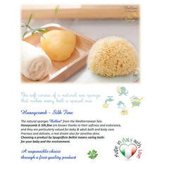 Bellini Honeycomb Bleached Sponge | The Nest Attachment Parenting Hub
