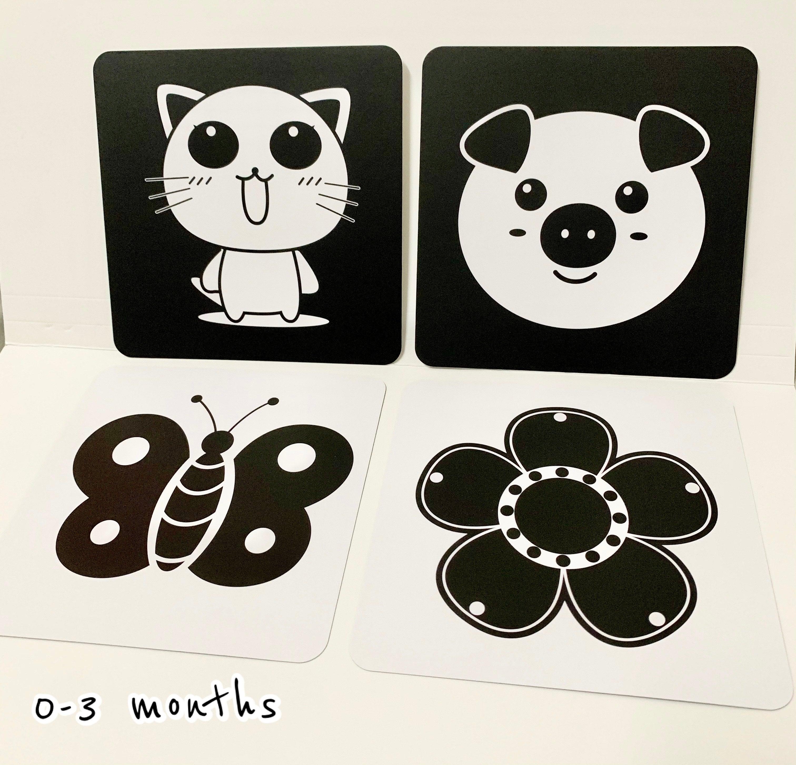 Blooming Wisdom Montessori High Contrast Visual Cards | The Nest Attachment Parenting Hub