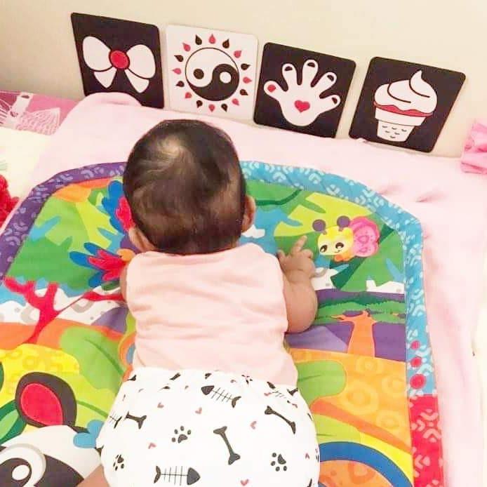 Blooming Wisdom Montessori High Contrast Visual Cards | The Nest Attachment Parenting Hub