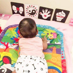 Blooming Wisdom Montessori High Contrast Visual Cards | The Nest Attachment Parenting Hub