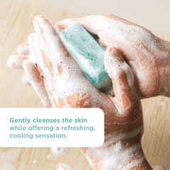 Ellana Minerals Keep Clean and Cool Tea Tree Face and Body Soap | The Nest Attachment Parenting Hub