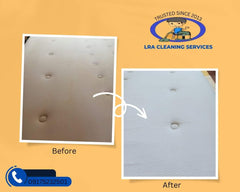 LRA Cleaning Services - Mattress Shampoo w/ Steam | The Nest Attachment Parenting Hub