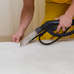 LRA Cleaning Services - Playpen Shampoo w/ Steam | The Nest Attachment Parenting Hub