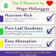 Mega-Malunggay Food Supplement | The Nest Attachment Parenting Hub