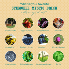 Michxan Stemcell Mystic Drink (New and Improved) | The Nest Attachment Parenting Hub