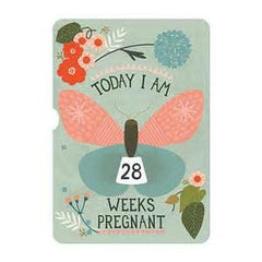 Milestone Turnwheel | The Nest Attachment Parenting Hub