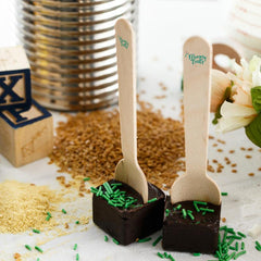 Mommy Treats 6-Day Supply Lactation Choco Spoons | The Nest Attachment Parenting Hub