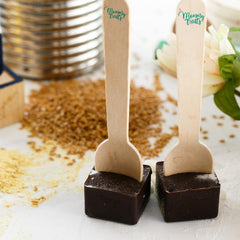 Mommy Treats 6-Day Supply Lactation Choco Spoons | The Nest Attachment Parenting Hub