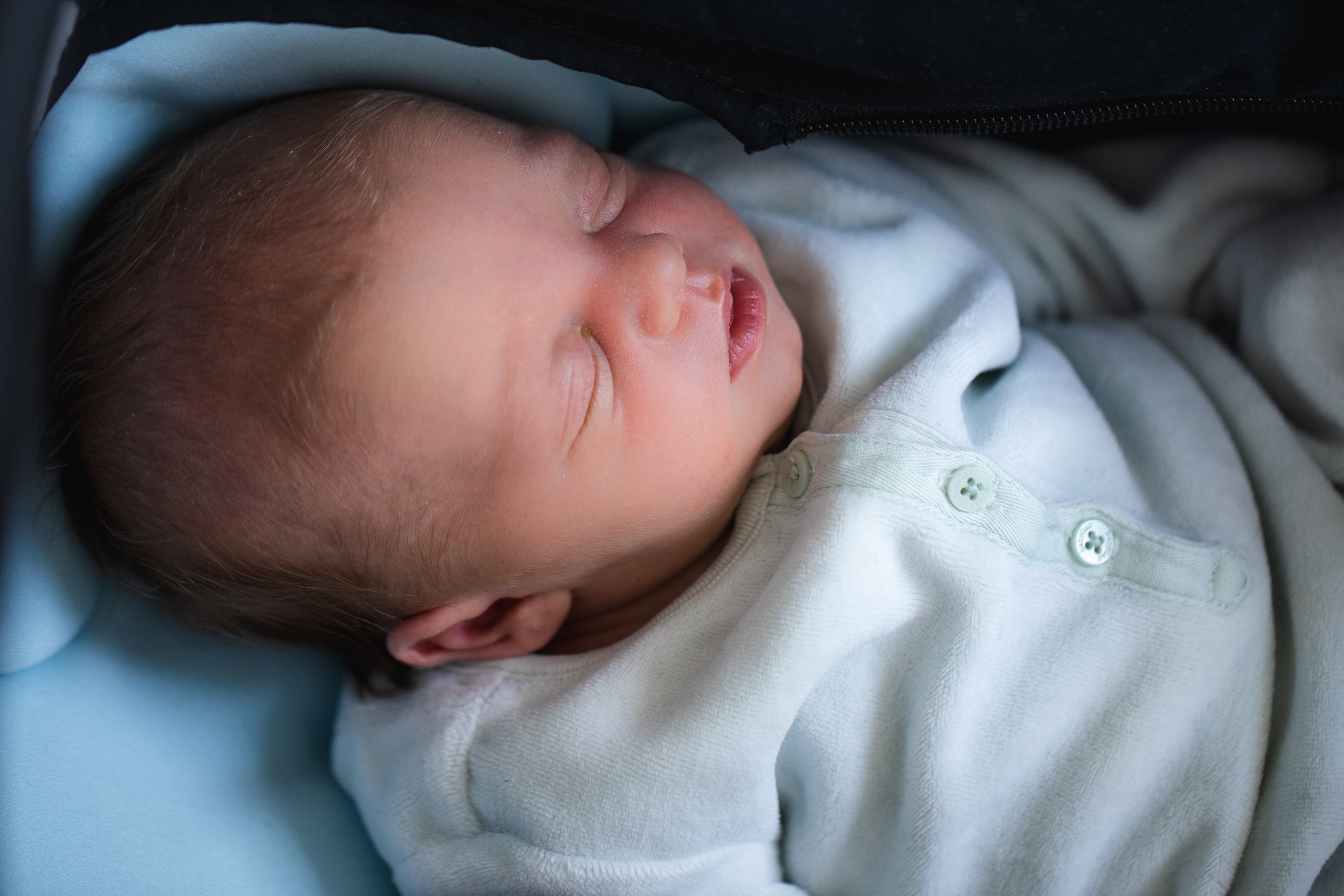 The Nest:Attachment Parenting Hub