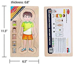 Onshine Layered Body Puzzle 3+ | The Nest Attachment Parenting Hub