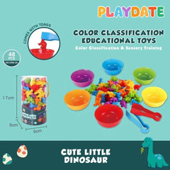 Playdate Color Classification Educational Toys 3+ | The Nest Attachment Parenting Hub