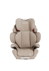 Poled Ball-Fix Pro Car Seat | The Nest Attachment Parenting Hub