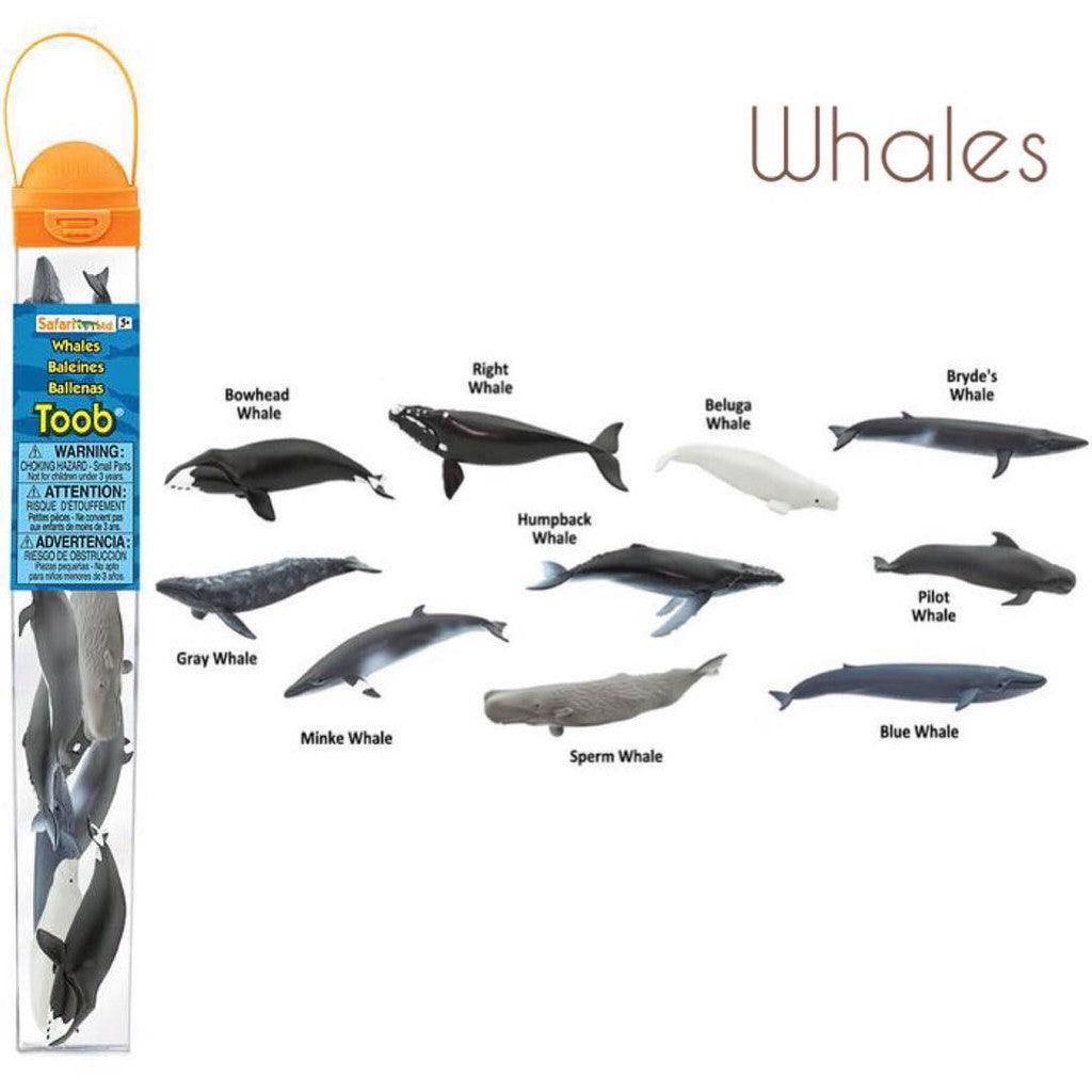 Safari Ltd Whales & Dolphins TOOB | The Nest Attachment Parenting Hub