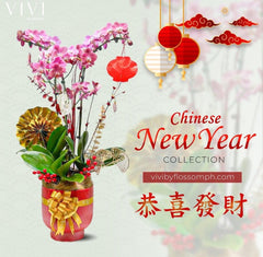 Vivi by Flossom CNY Collection Large w/ Vase | The Nest Attachment Parenting Hub