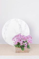 Vivi by Flossom Hera Acrylic Gift Box (Large Orchids) | The Nest Attachment Parenting Hub