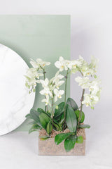 Vivi by Flossom Magaera Acrylic Gift Box (Large Orchids) | The Nest Attachment Parenting Hub