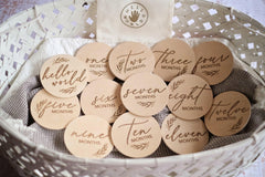 Hello World Monthly Disc Set | The Nest Attachment Parenting Hub