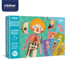 Mideer - Body Magnets | The Nest Attachment Parenting Hub