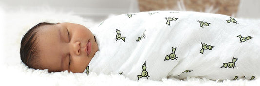 Swaddling 101 by Aden + Anais | The Nest Attachment Parenting Hub