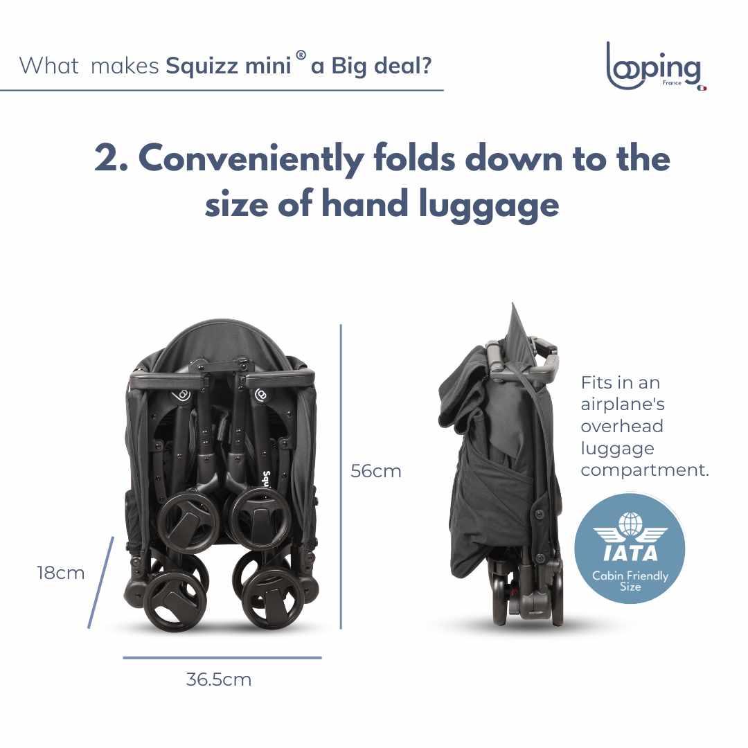 Looping Squizz Mini 0m+ | The Nest Attachment Parenting Hub
