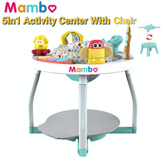 MamboBabyPh - Baby 5 in 1 Activity Center