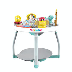 MamboBabyPh - Baby 5 in 1 Activity Center