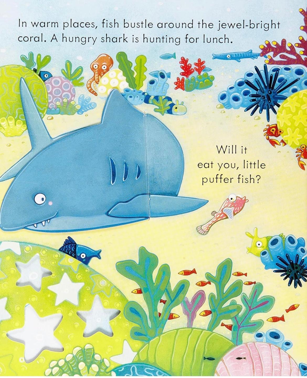 Usborne - Peep Inside the Sea 3+ | The Nest Attachment Parenting Hub