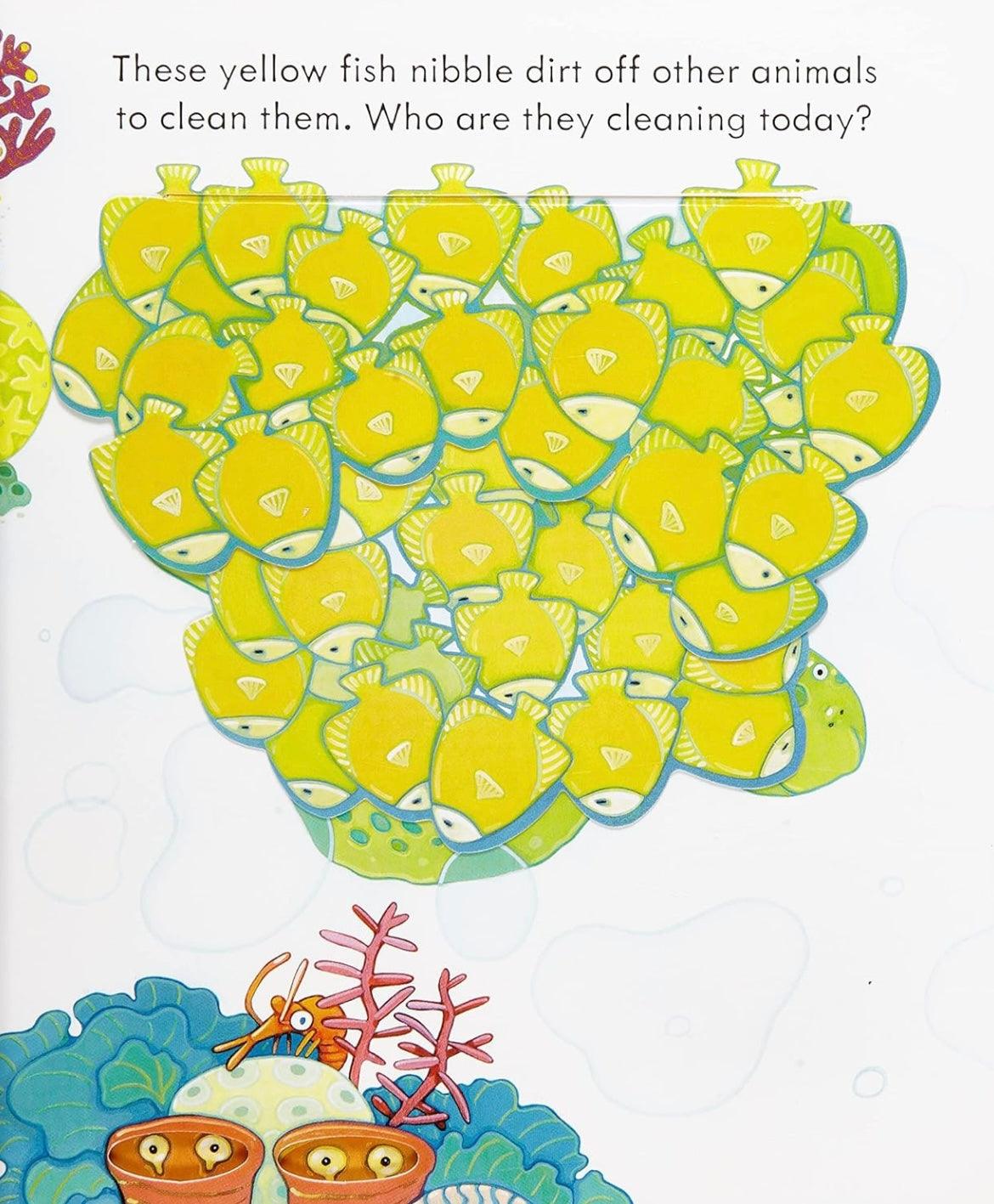 Usborne - Peep Inside the Sea 3+ | The Nest Attachment Parenting Hub