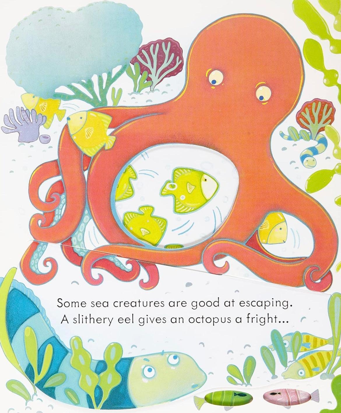 Usborne - Peep Inside the Sea 3+ | The Nest Attachment Parenting Hub