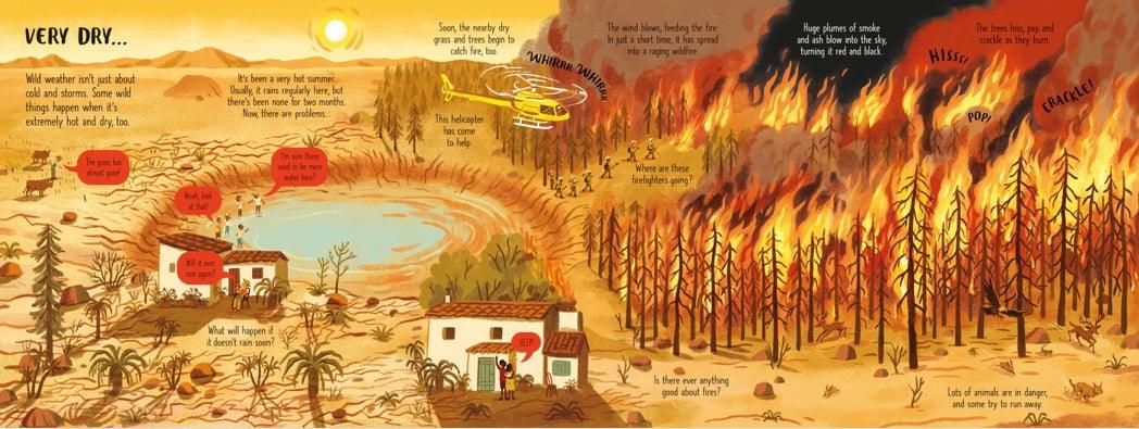 Usborne - Look Inside Wild Weather 5y+ | The Nest Attachment Parenting Hub