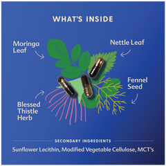 Motherlove More Milk Moringa Capsule 60s