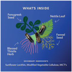 Motherlove More Milk Plus Capsule 60s