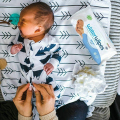 WaterWipes Biodegradable 4x60pk | The Nest Attachment Parenting Hub