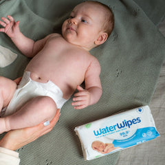 WaterWipes Biodegradable 60 Sheets | The Nest Attachment Parenting Hub