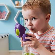 b.box Drink Bottle 450ml | The Nest Attachment Parenting Hub