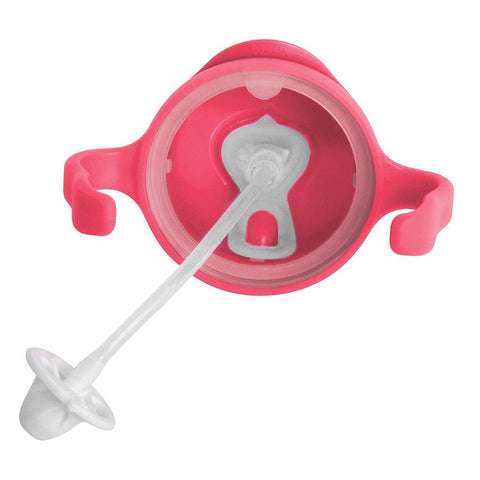 b.box Sippy Cup 240ml | The Nest Attachment Parenting Hub