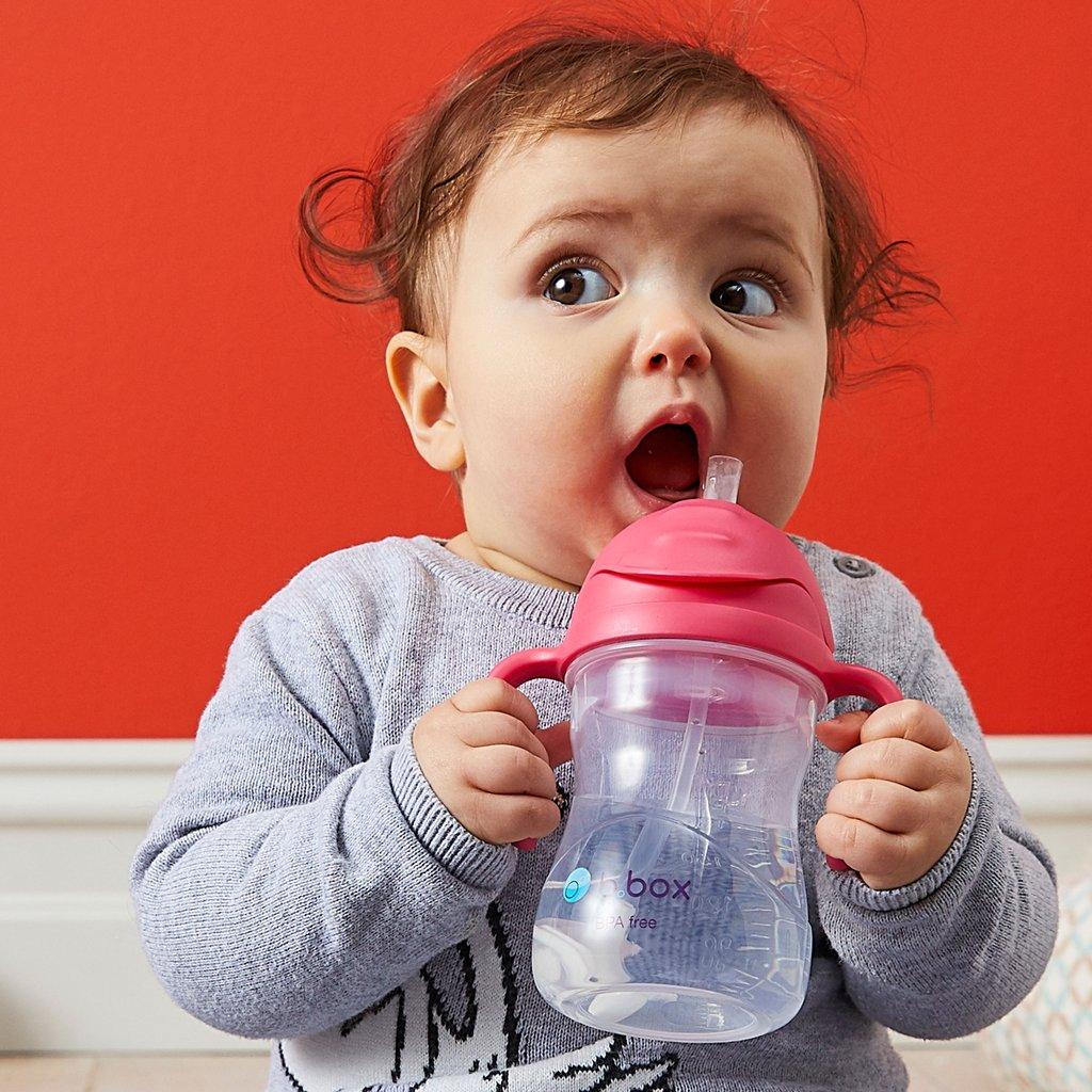 b.box Sippy Cup 240ml | The Nest Attachment Parenting Hub