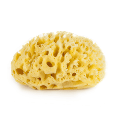 Babu by Bellini Sea Sponge Honeycomb | The Nest Attachment Parenting Hub