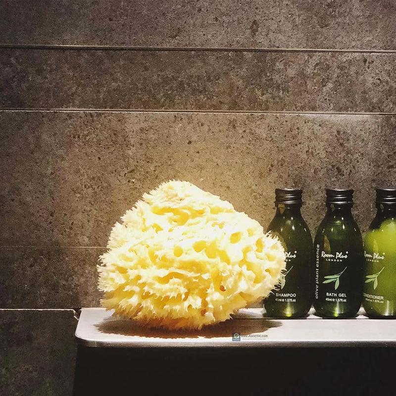 Bellini Honeycomb Bleached Sponge | The Nest Attachment Parenting Hub