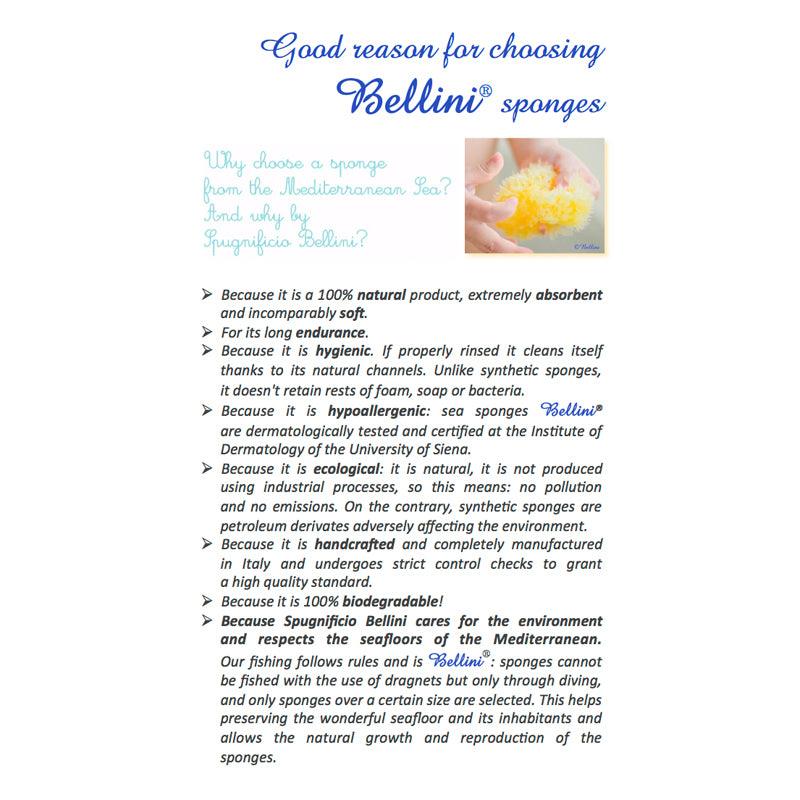 Bellini Honeycomb Bleached Sponge | The Nest Attachment Parenting Hub