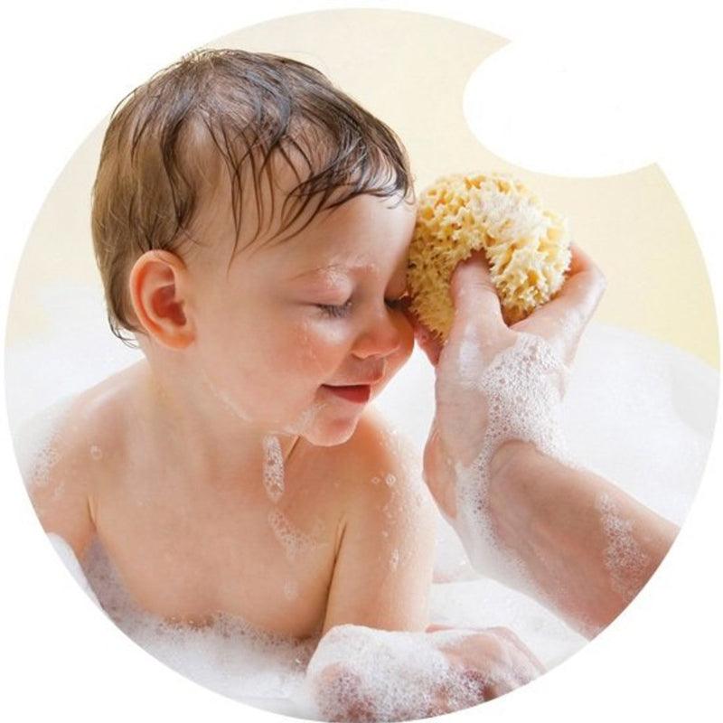 Bellini Honeycomb Bleached Sponge | The Nest Attachment Parenting Hub