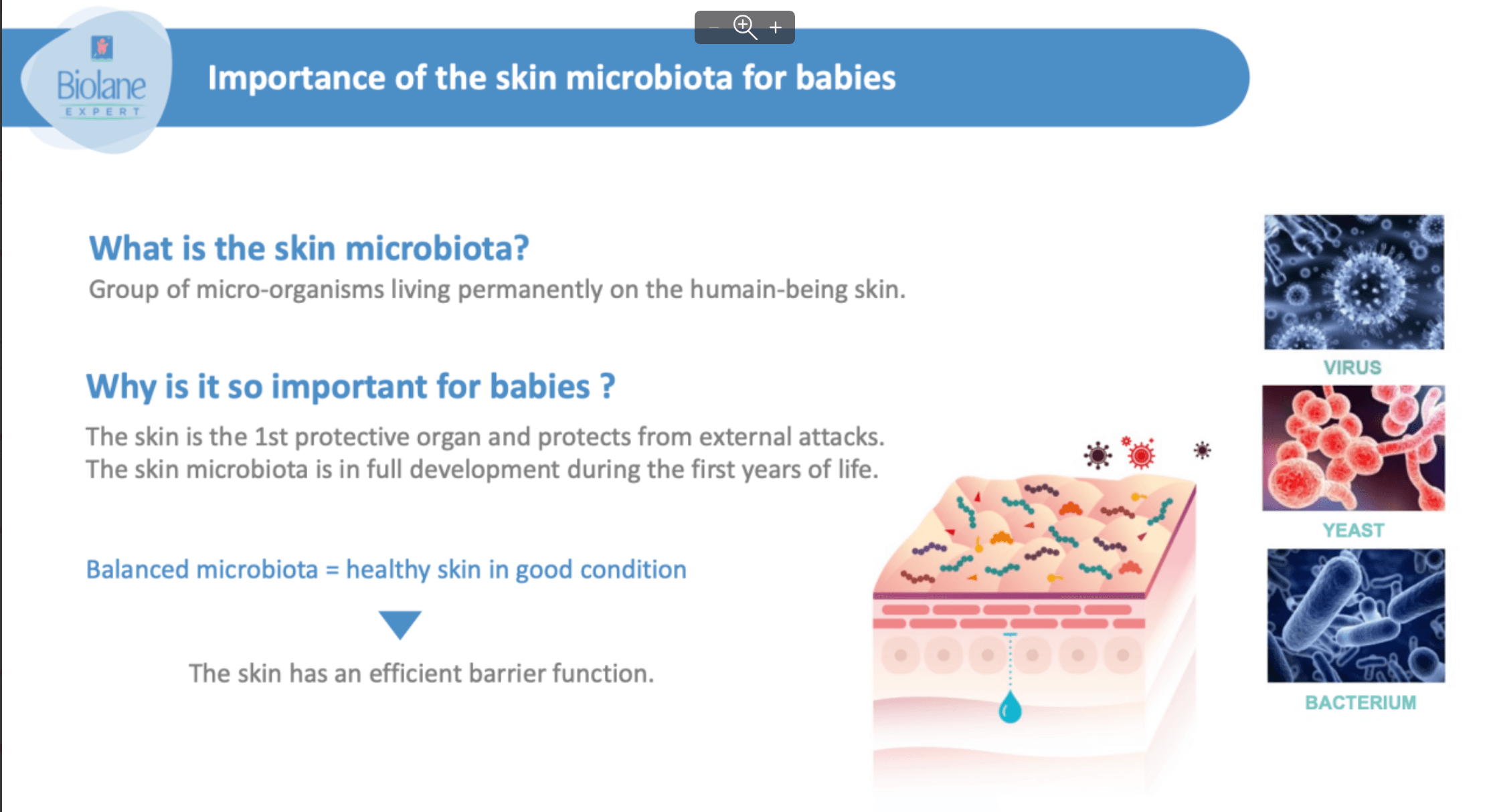 Biolane Expert BIO Moisturizing Cream 75ml | The Nest Attachment Parenting Hub